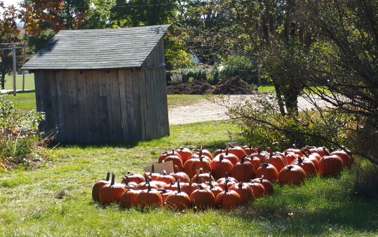 Goodwin Farm Stand