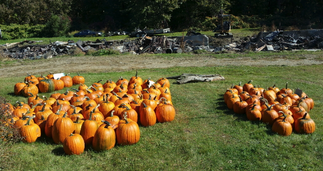 Goodwin Farm Stand